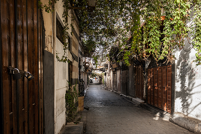 FES Syria Project